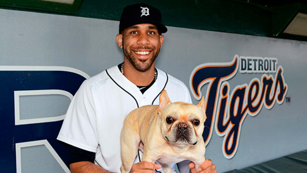 Pet Pals: David Price’s Dog is Almost as Famous as the Cy Young Winner